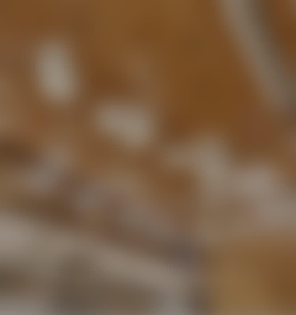 about-content2-bg